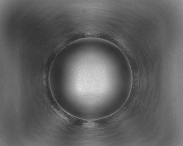 X0000073850269200608171040