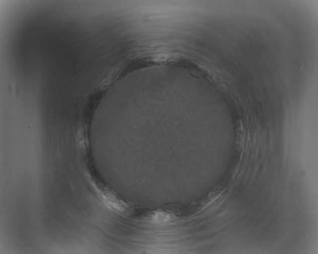 X0000073850272200608171040