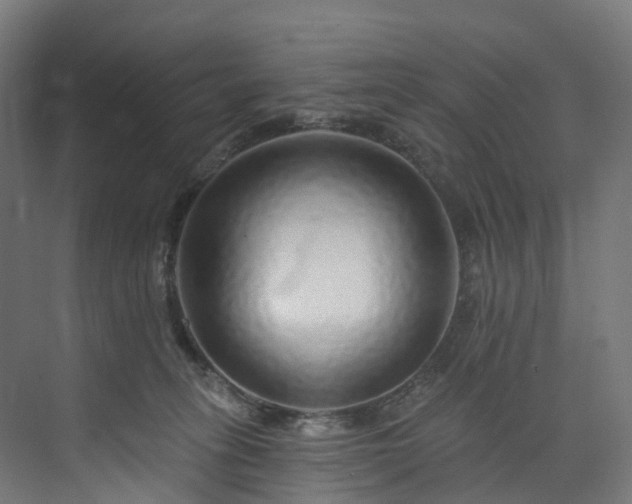 X0000073850275200608171040