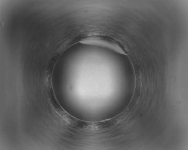 X0000073850276200608171040