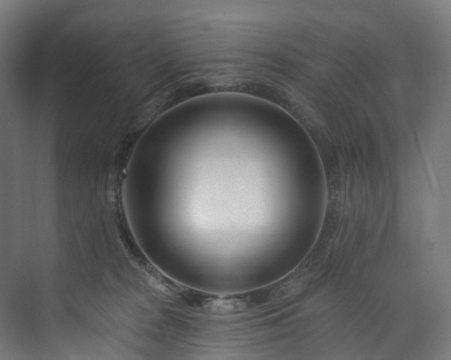 X0000073850277200608171040