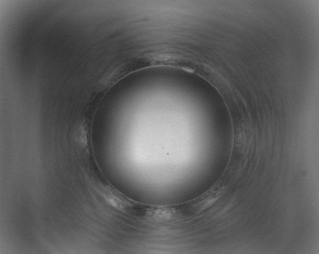 X0000073850282200608171041