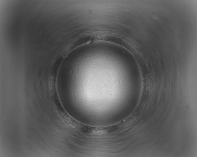 X0000073850283200608171041