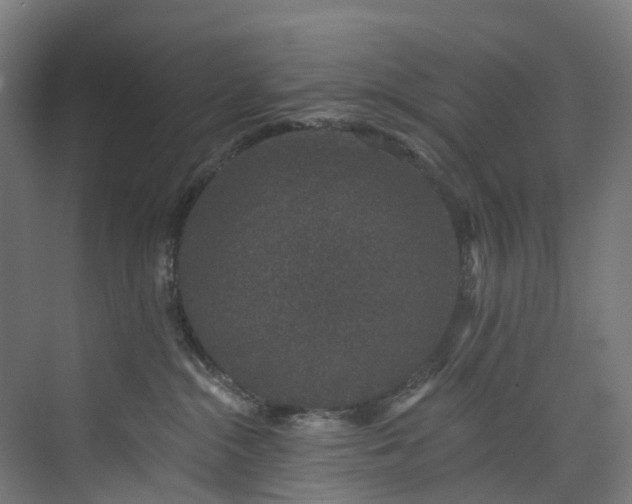 X0000073850284200608171041