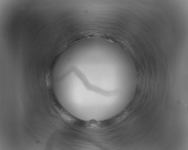 X0000073850285200608171041