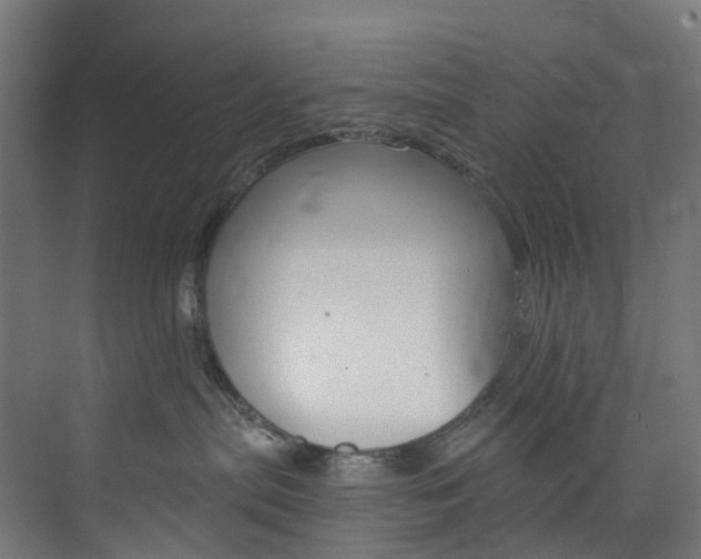 X0000073850287200608171041