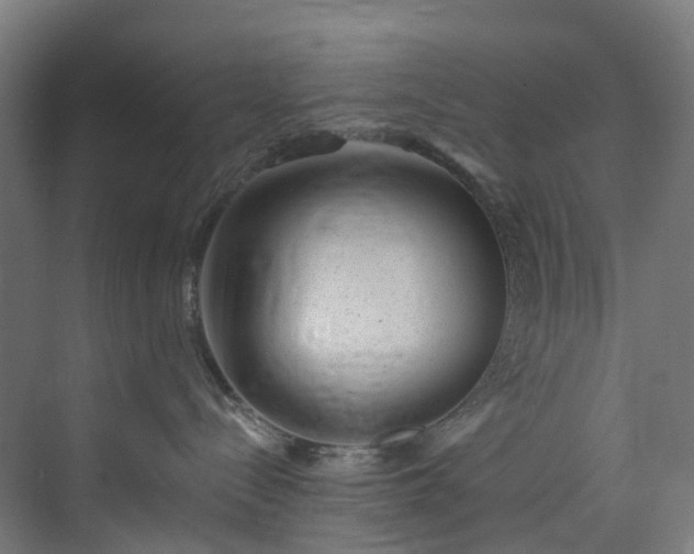 X0000073850288200608171041