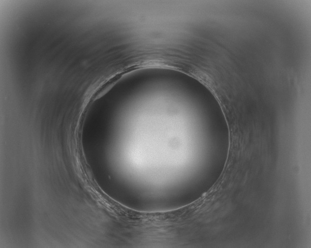 X0000073850289200608171040