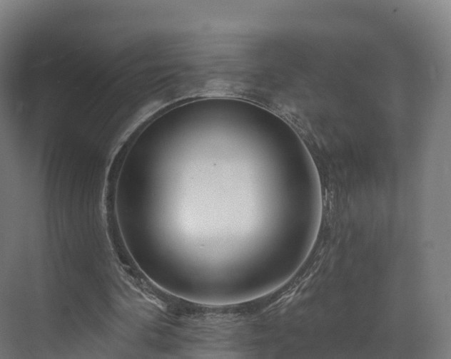 X0000073850292200608171040