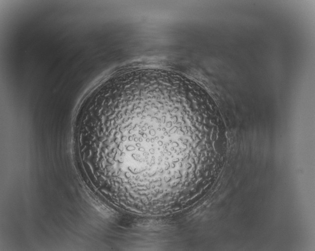 X0000073850293200608171040