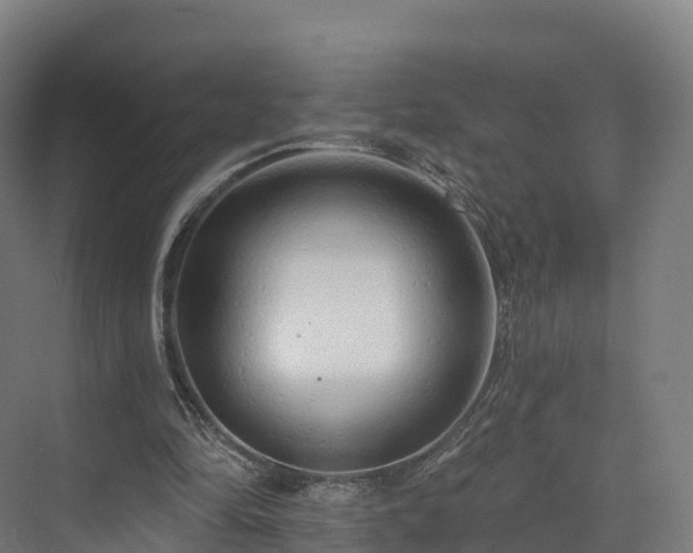 X0000073850294200608171040