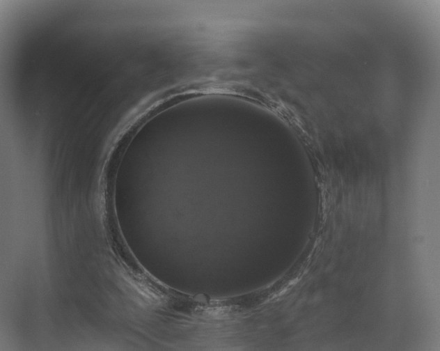 X0000073850295200608171040