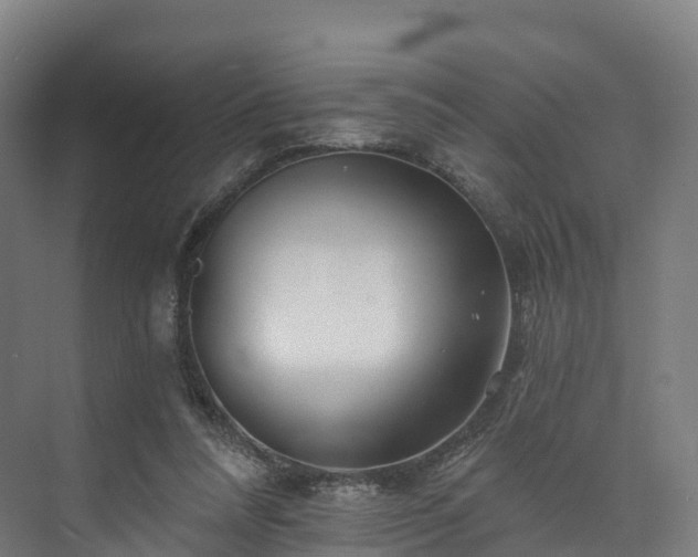 X0000073850304200608171040