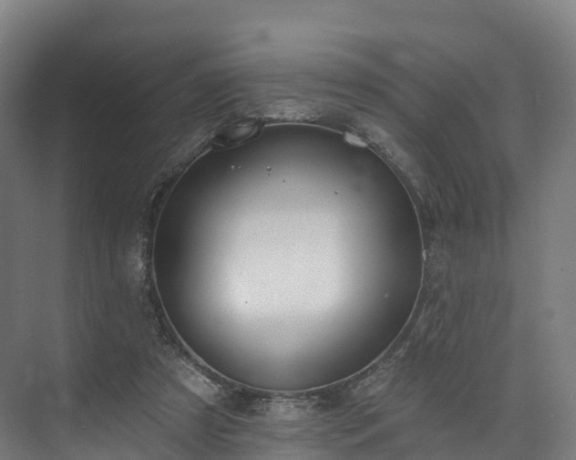 X0000073850305200608171040