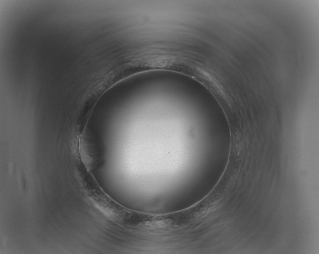 X0000073850307200608171040