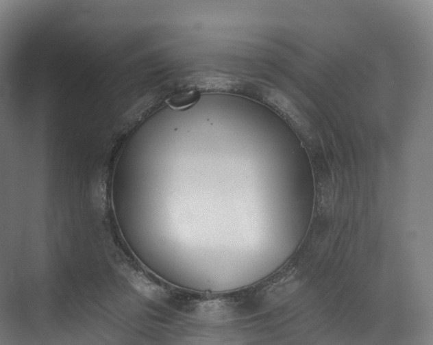 X0000073850309200608171039