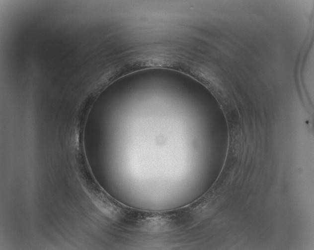 X0000073850310200608171039