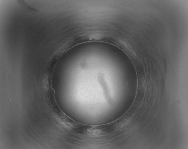 X0000073850311200608171039