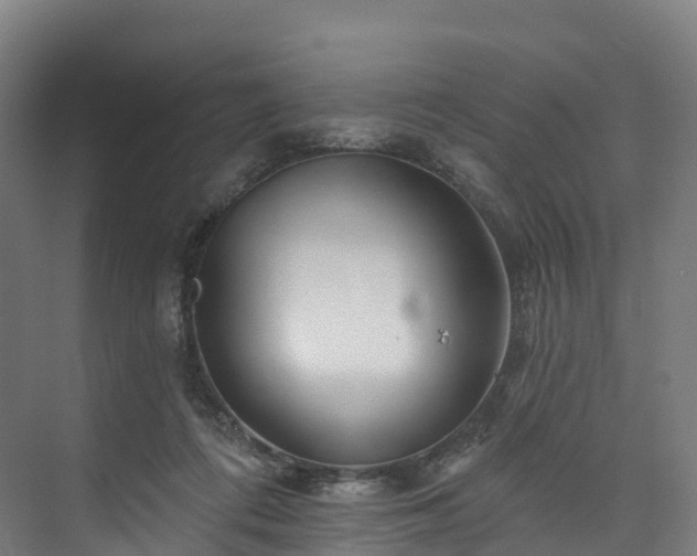 X0000073850312200608171039