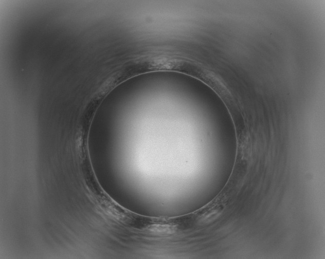 X0000073850314200608171039