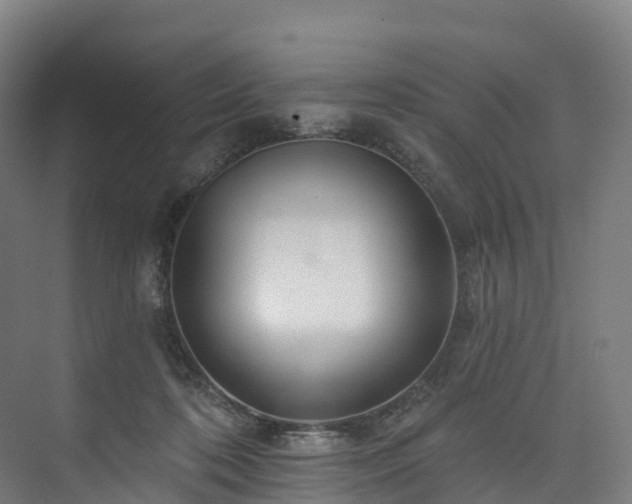 X0000073850316200608171039