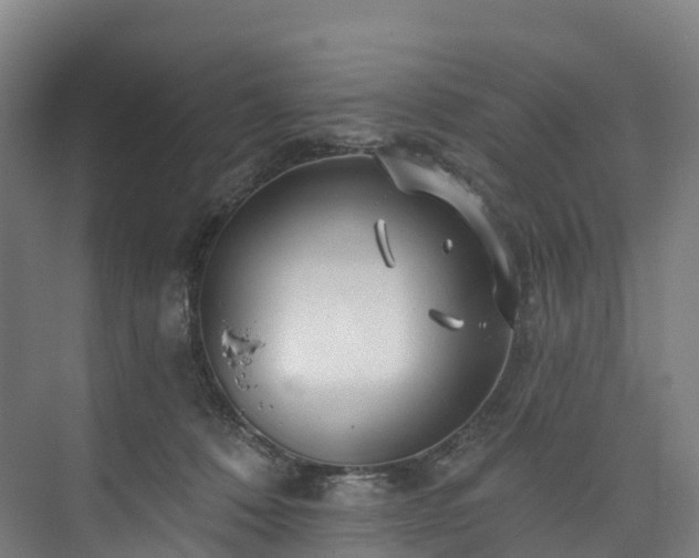 X0000073850320200608171039