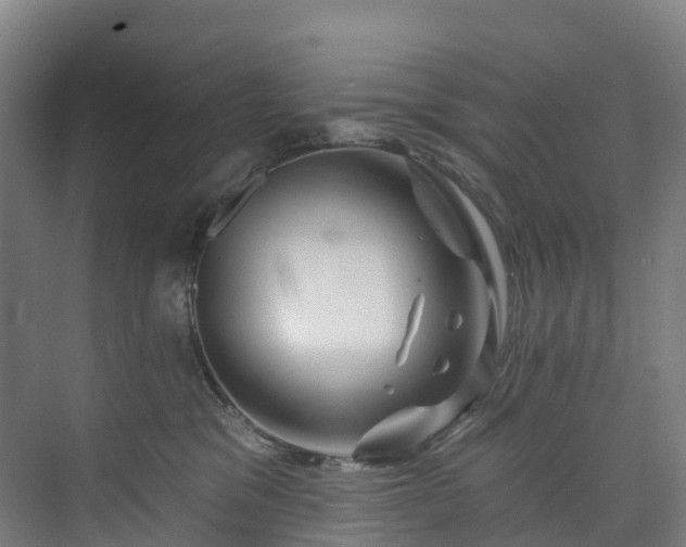 X0000073850329200608171039