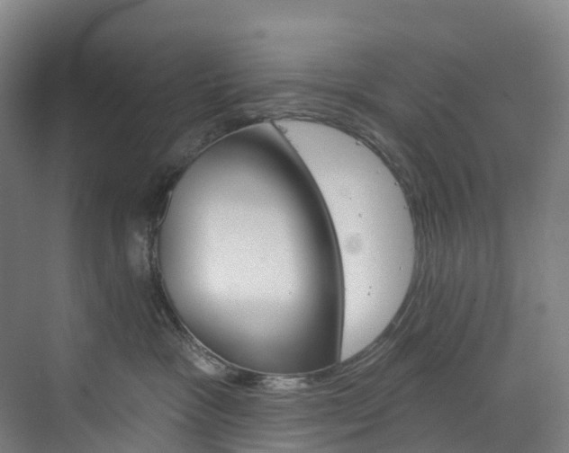 X0000073850333200608171039