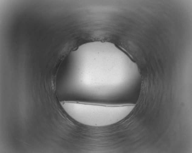 X0000073850335200608171039