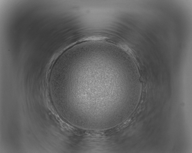 X0000073850337200608171038