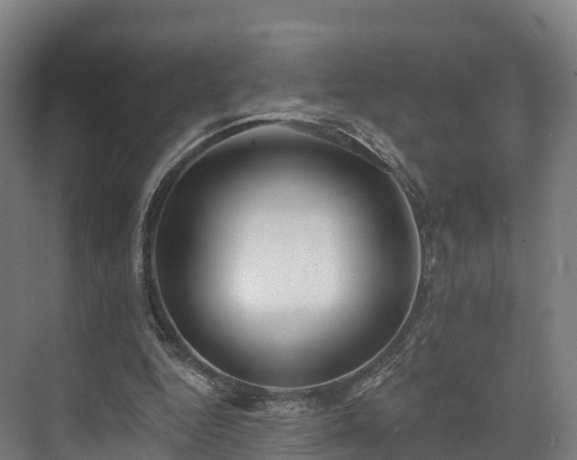 X0000073850344200608171038