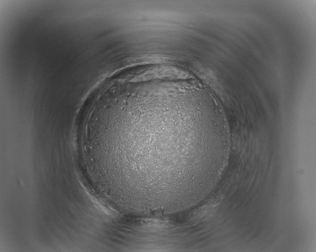 X0000073850347200608171038