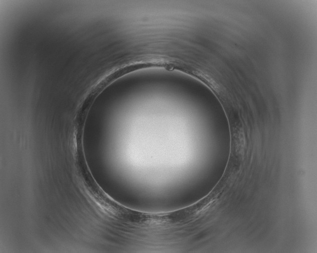 X0000073850350200608171038