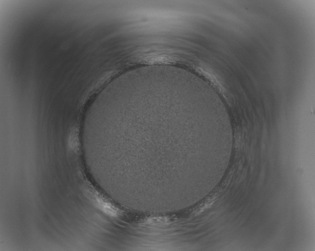 X0000073850353200608171038