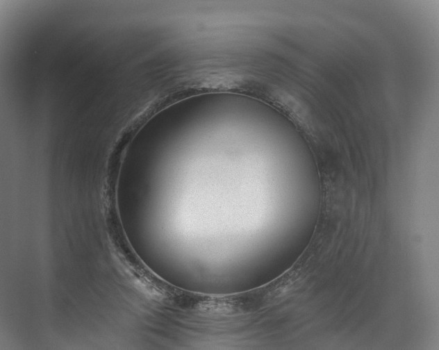 X0000073850354200608171038