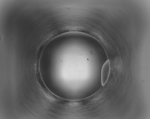 X0000073850357200608171039