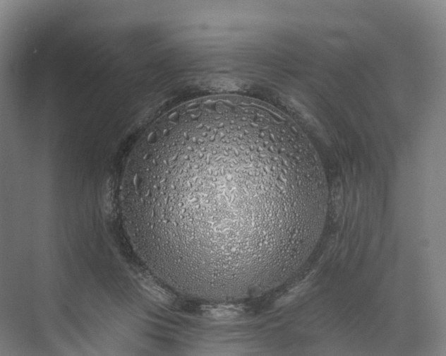 X0000073850359200608171039