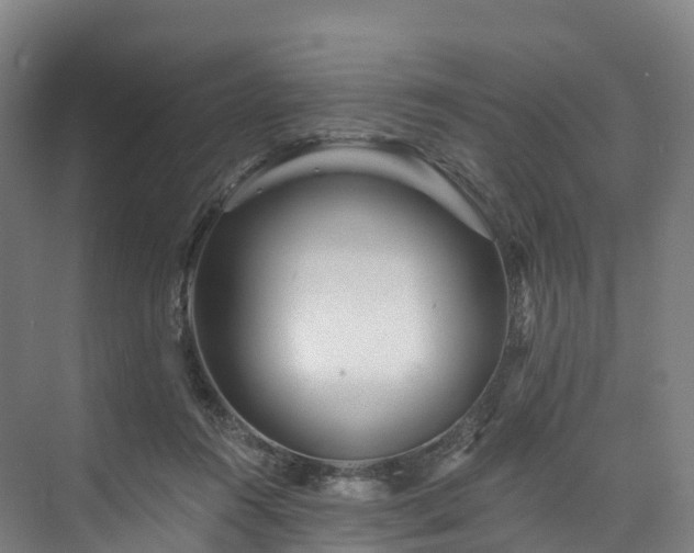 X0000073850360200608171039