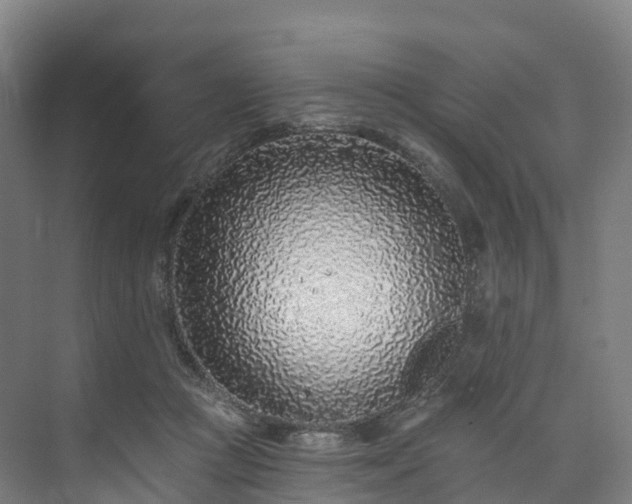 X0000073850361200608171039