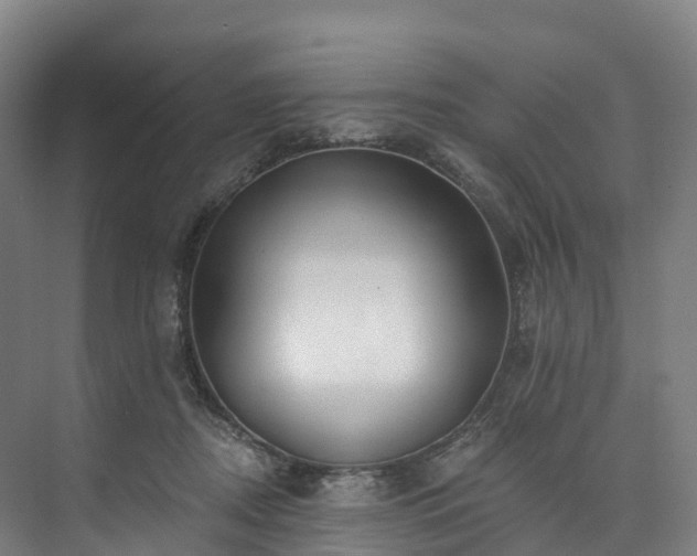 X0000073850362200608171039