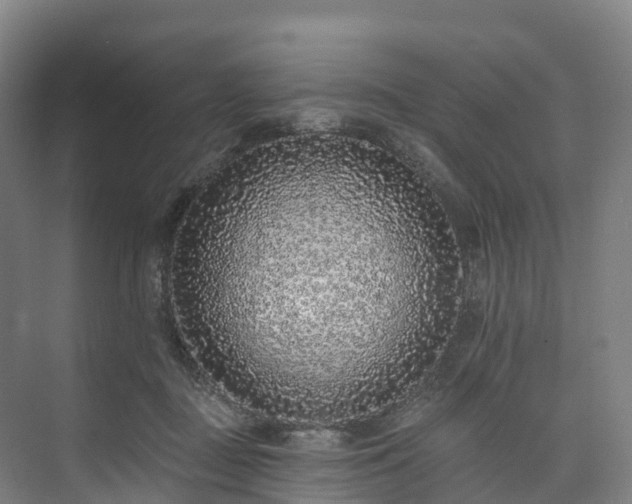 X0000073850363200608171039