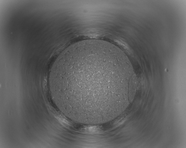 X0000073850365200608171039