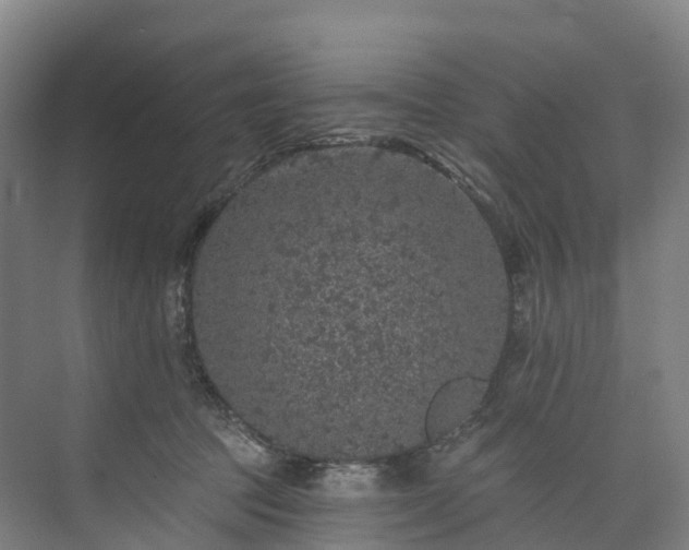 X0000073850369200608171039