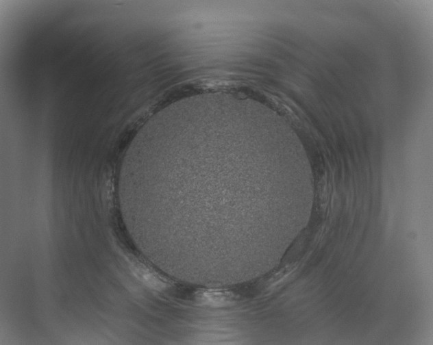 X0000073850372200608171039