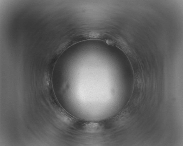 X0000073850374200608171039