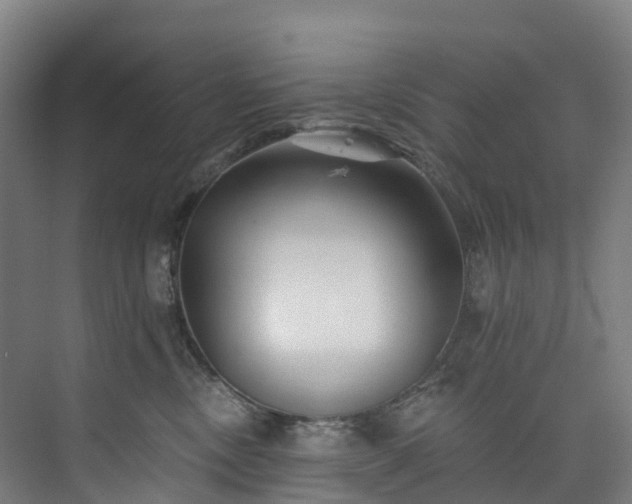 X0000073850378200608171039