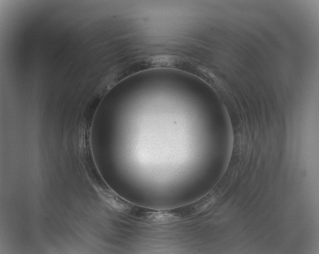 X0000073850379200608171039