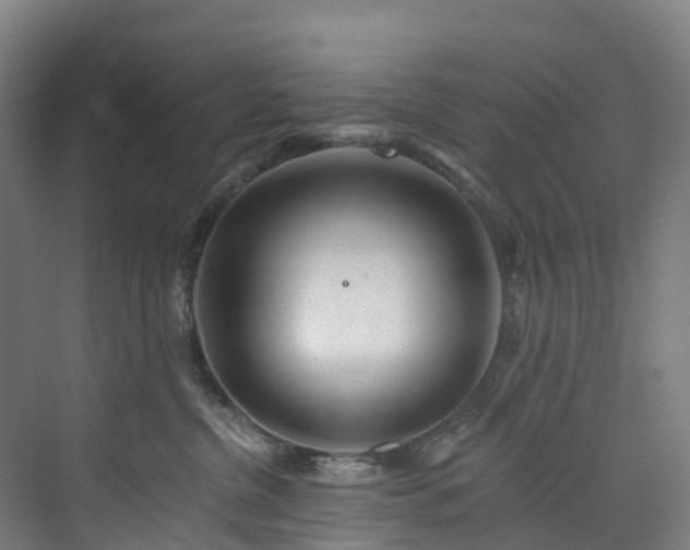 X0000073850380200608171039