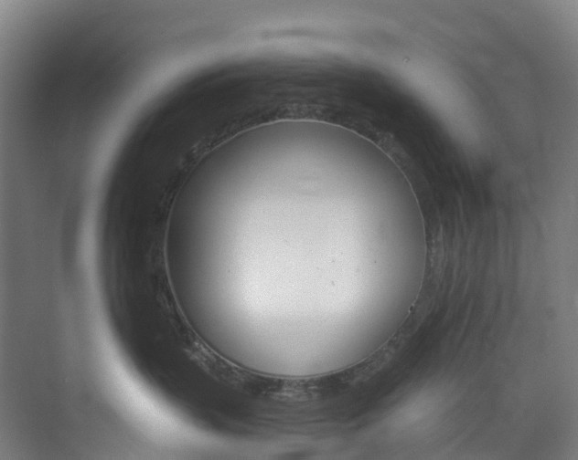 X0000073850383200608171039