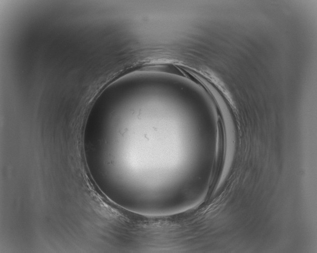 X0000073850385200608171038